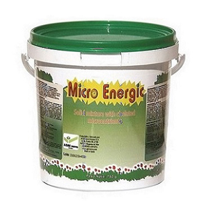 Micro Energic